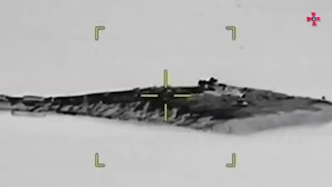 Snake. How the AFU regained the island.