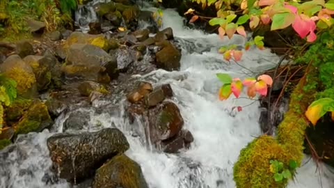 Beauty of Nature