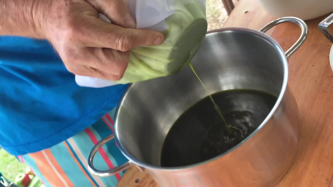 RSO Aliejaus Gamyba (RSO Cannabis Oil Extraction DiY)