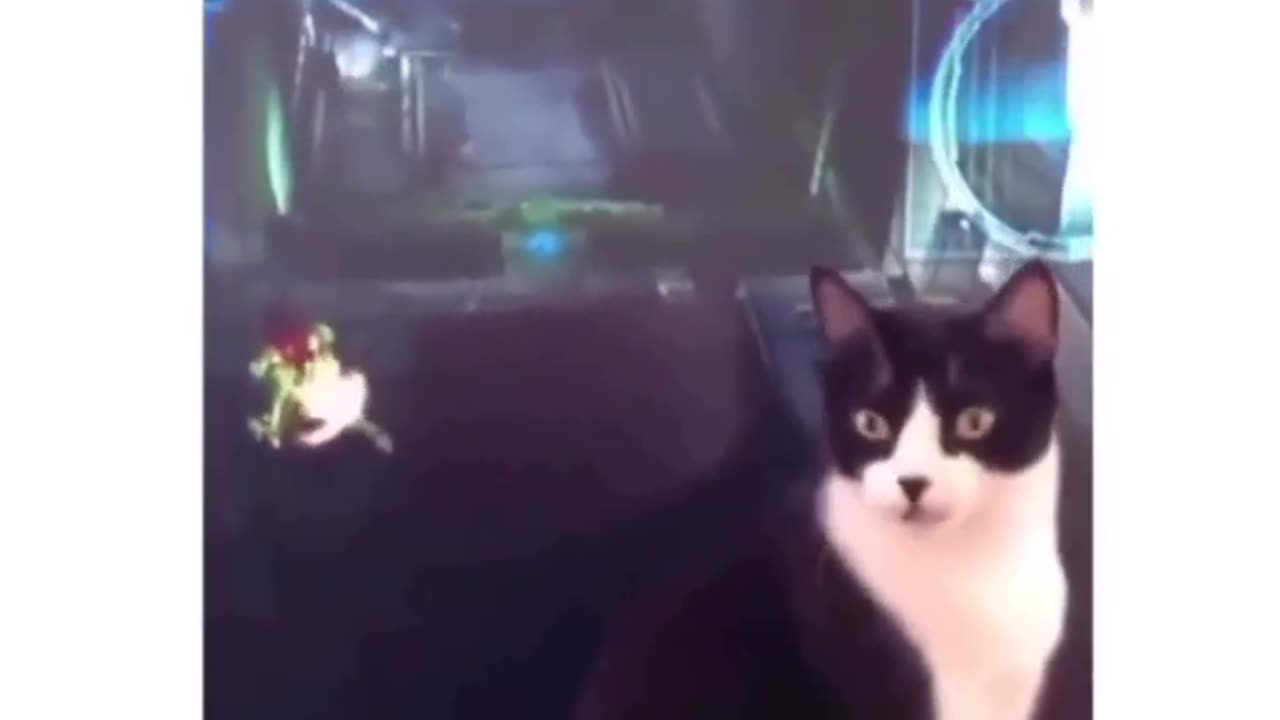 The power of this cat is too much