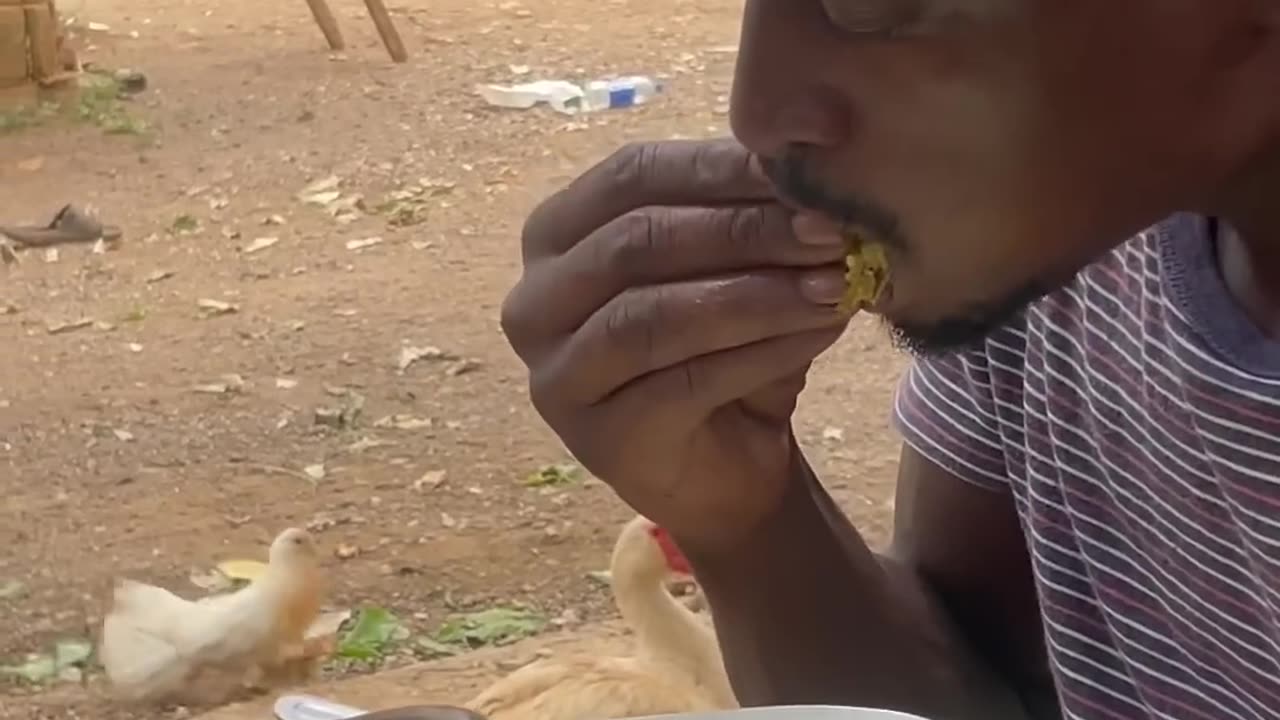 Eating with his bird pet