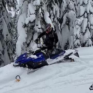Full pin SX Viper Snowmobile!