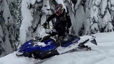 Full pin SX Viper Snowmobile!