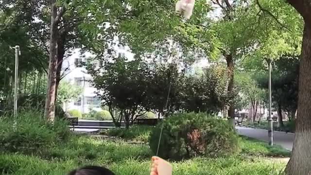 This weather is suitable for kite flying