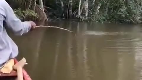 Amazing_Asian_Fishing_Video_🐟_Best_Fishing_Technique_🐟_#shorts