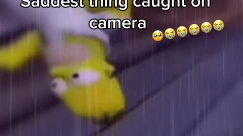 GTA sad Homer simpson moment 😢