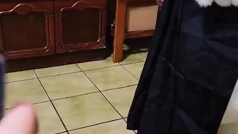 What a magical thing 💦🥵 ⚡️⚡️⚡️