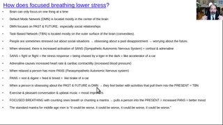 How does focused breathing lower stress levels?