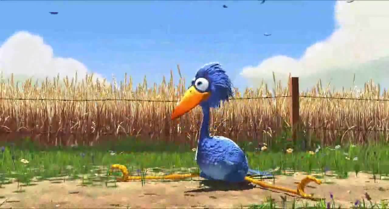For the Birds