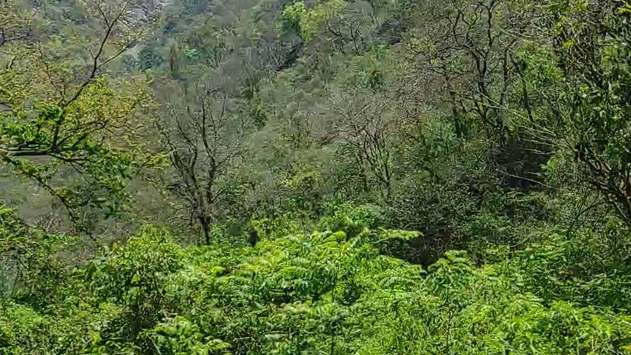Rishikesh