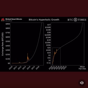 #Bitcoin is growing at a hyperbolic rate🚨