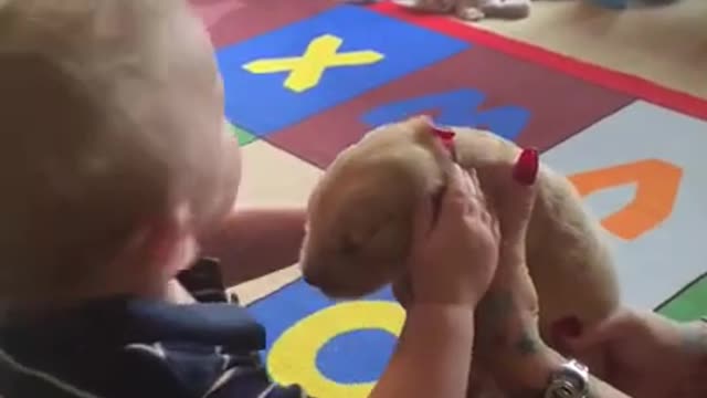 Adorable Toddler Gives Hugs and Kisses to Puppy