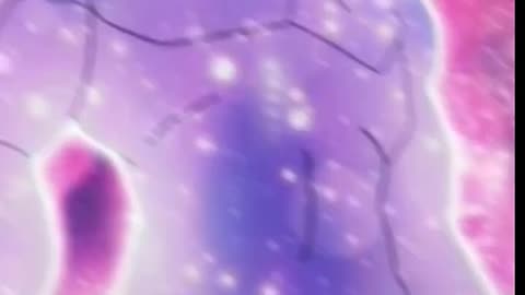Top 5 fusion dragon ball