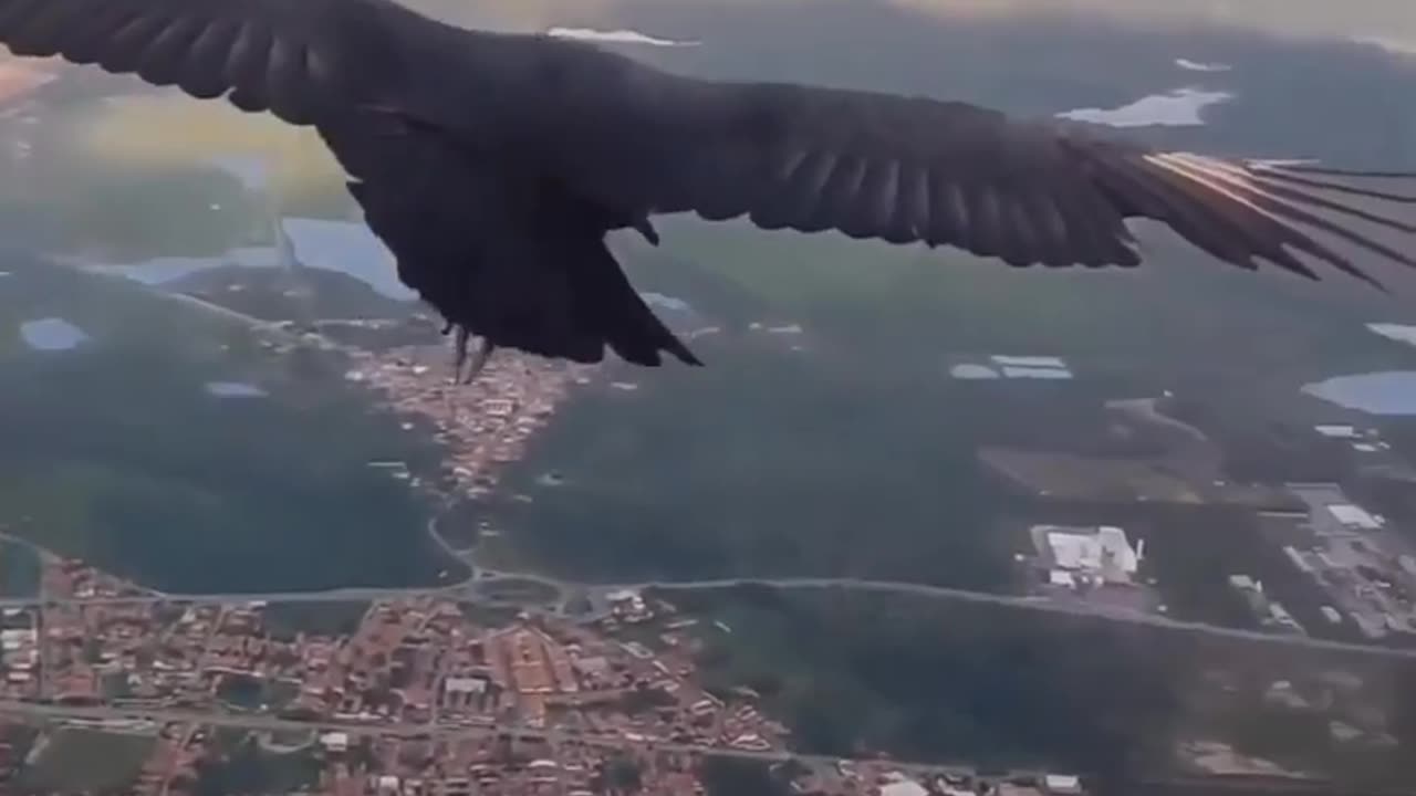 You may never see video like this before