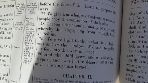 Zechariah as prophet