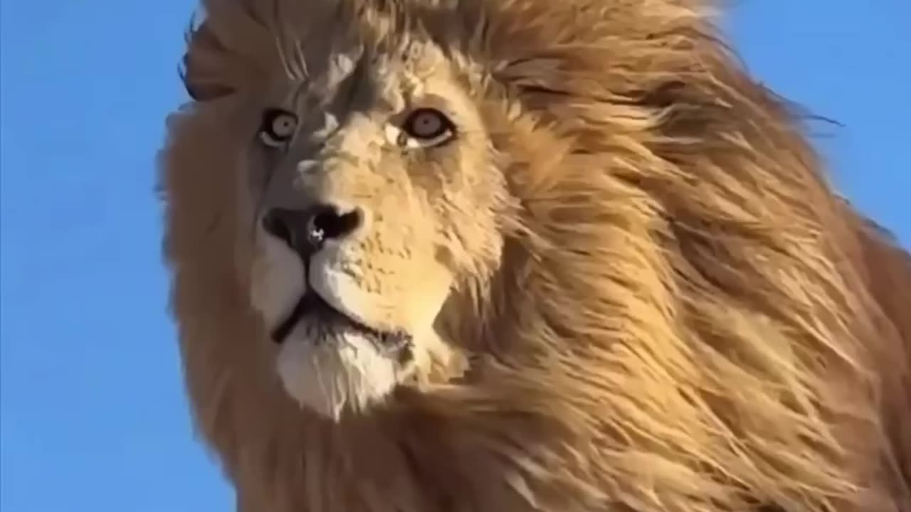 Video Elon posted now at 16m views.. 🇺🇸