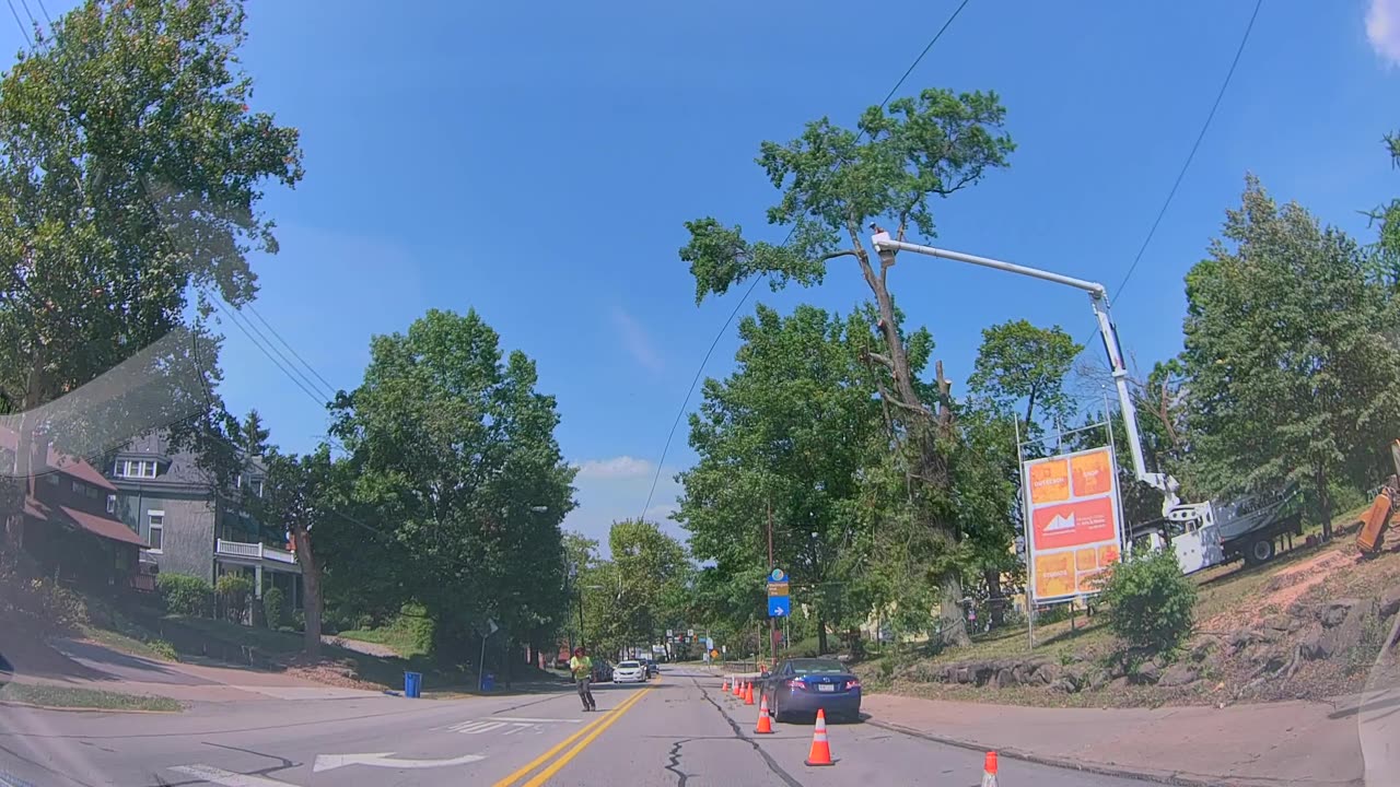 Tree Trimmer Drops Telephone Pole on Car