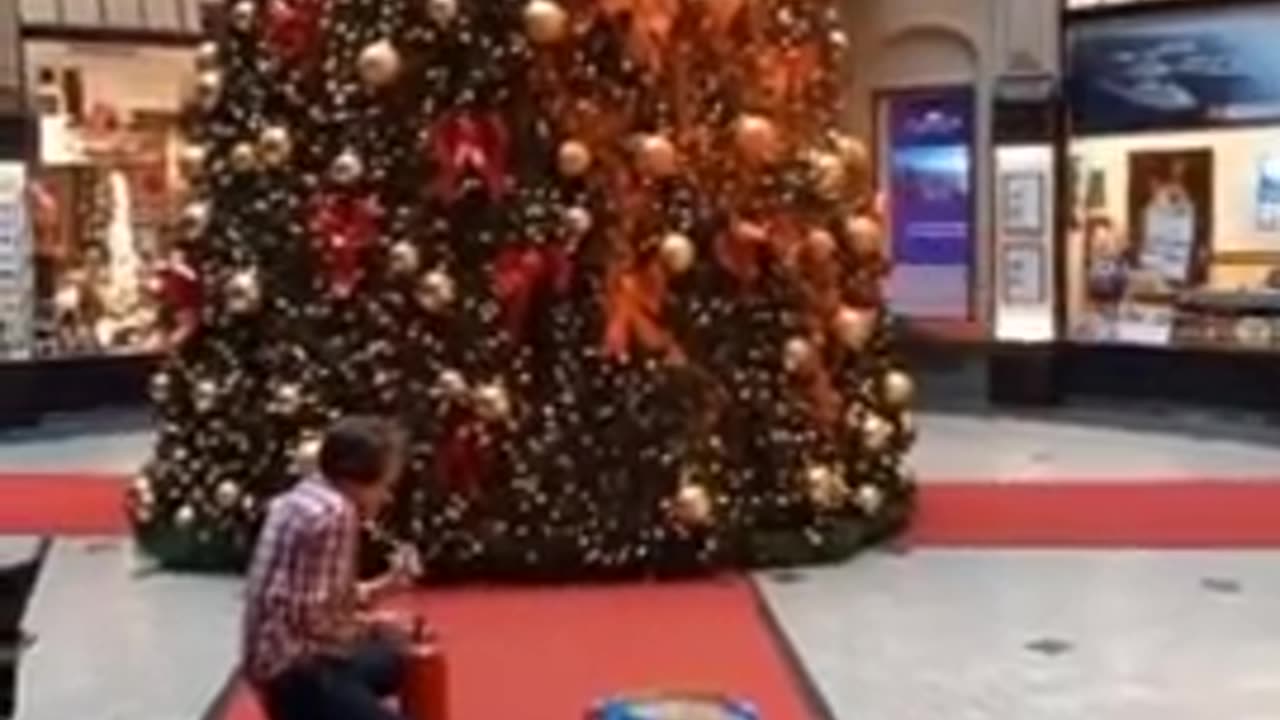 Climate Crazies Go After Christmas Trees....