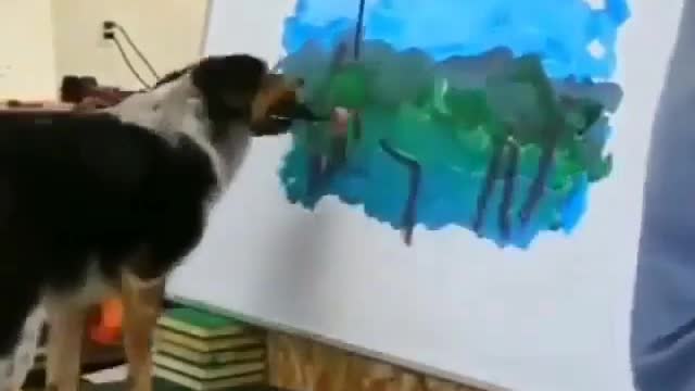 dog can draw picture easily