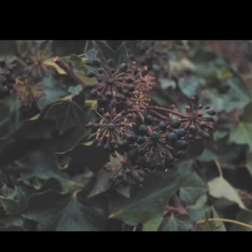 ARE YOU PREPARED_ - Motivational Speech #workhard #workout #motivation