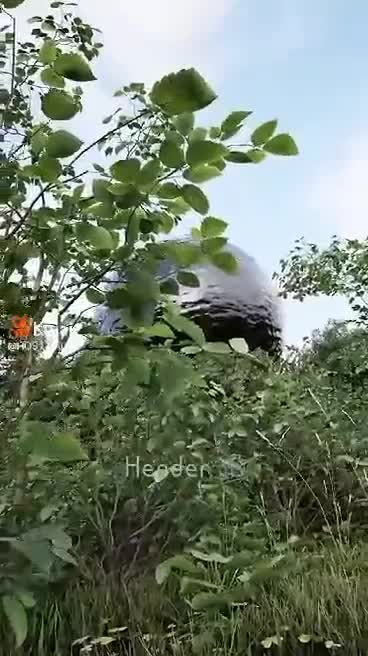 GIANT UFO COMING OUT OF THE WOOD