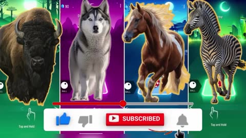 The Buffalo vs The Husky Dog vs The Horse vs The Zebra | Coffin Dance, El Chombo - Dame Tu Cosita