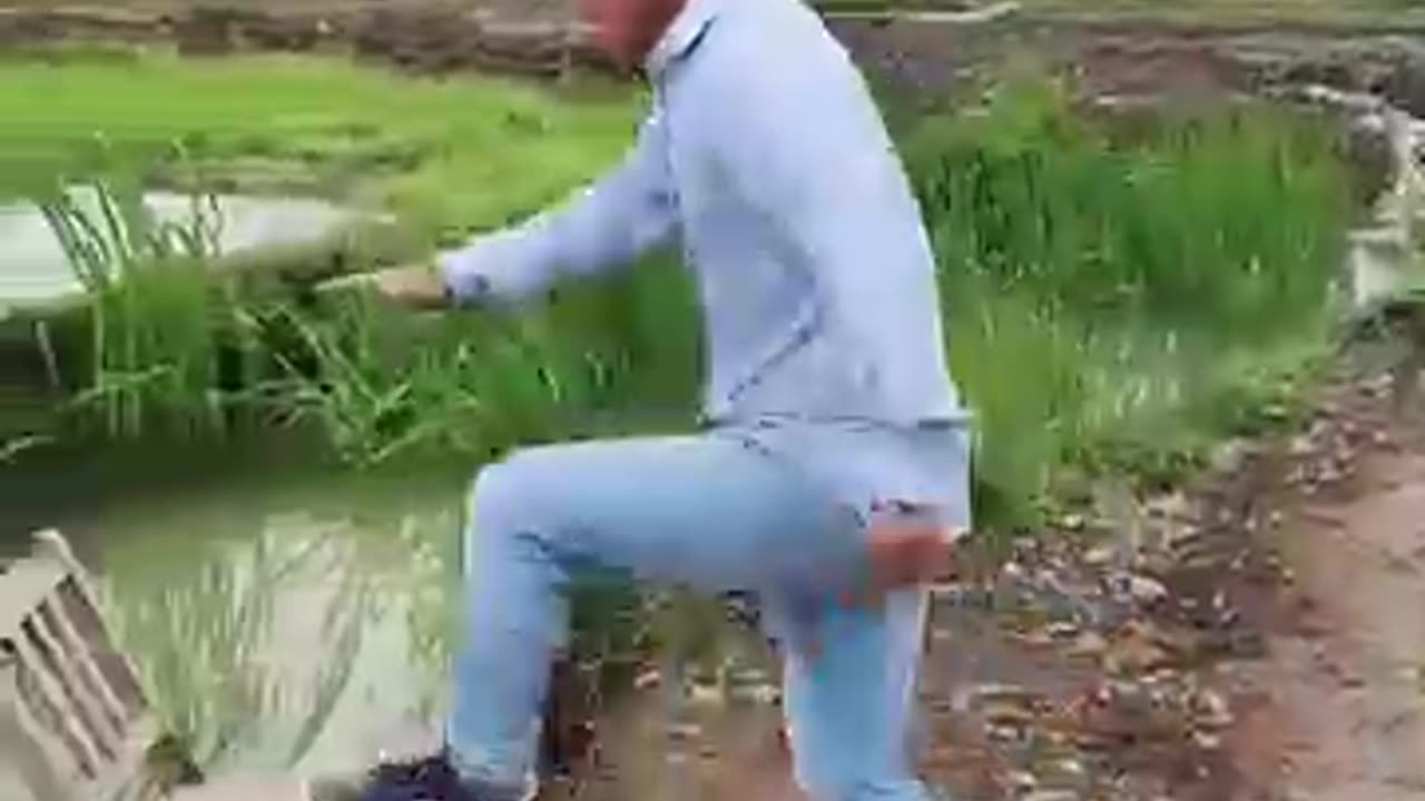 So funny video