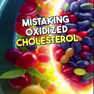 🫀Heart Health❤️ Dissolve & Reduce Arterial Plaque