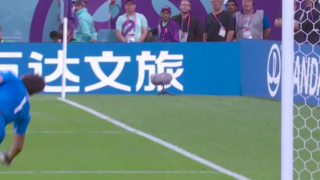 Fifa world cup highlight