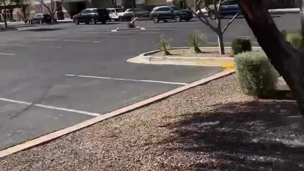 “人類正面臨環境毒素高危害03”電動車（Tesla 特斯拉）充電站 輻射量高的嚇人