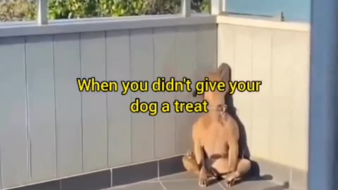 when your dog loves the treats we sell you buy the treats we sell dont be selfish