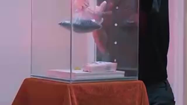 Funny mother and child