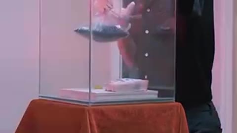 Funny mother and child