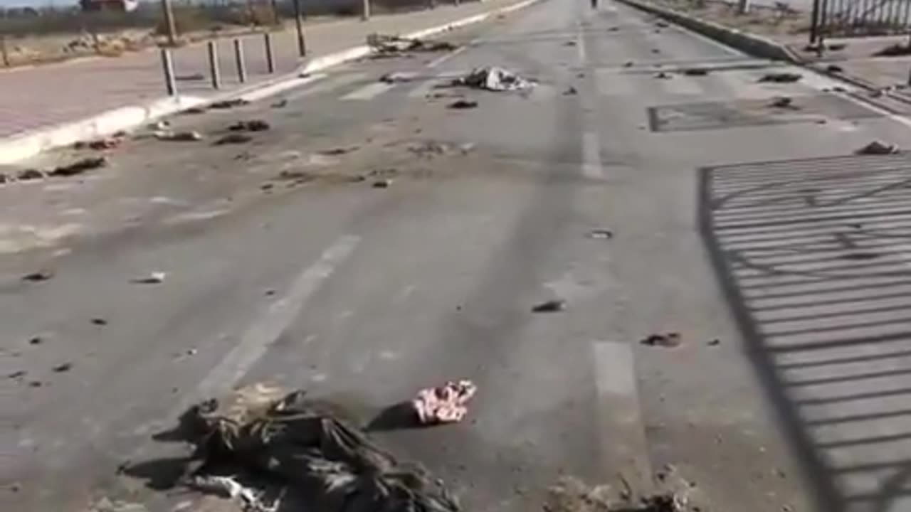 🇮🇱🇵🇸 Another IDF war crime. Shot civilians on the road by the sea