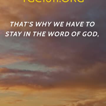 Don't bow to the cult of culture