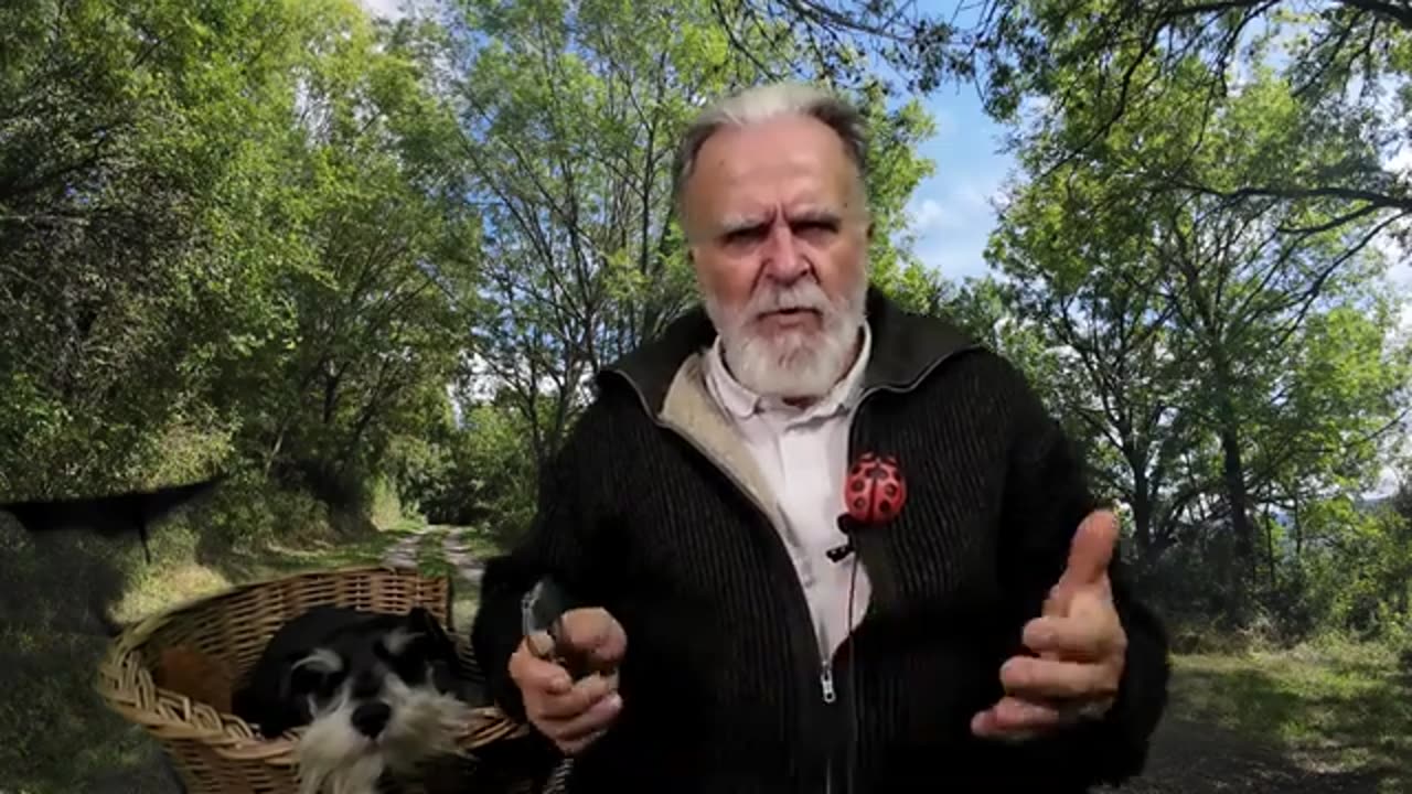 La France de Danièle Gilbert et de Pierre Richard nous manque