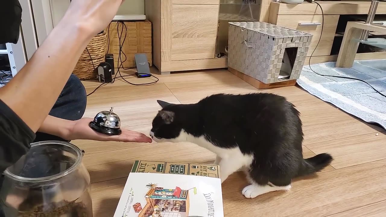 Teaching my cats to ring a bell