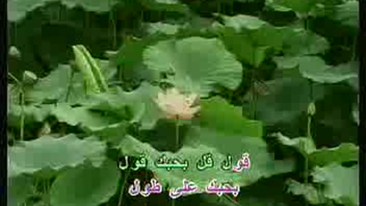 4 Cats-Ma Ba2a 3ida karaoke