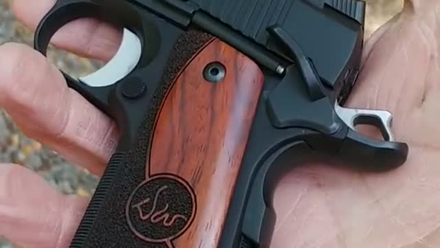 Dan wesson guardian 1911 shorts