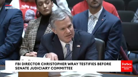 'Good Heavens, Director!': Hawley Savagely Confronts FBI's Wray About Investigations Of Catholics