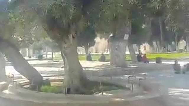 Jerusalem Friday prayers at the Al-Aqsa Mosque.القدس صلاة الجمعة في مسجد الاقصى المبارك