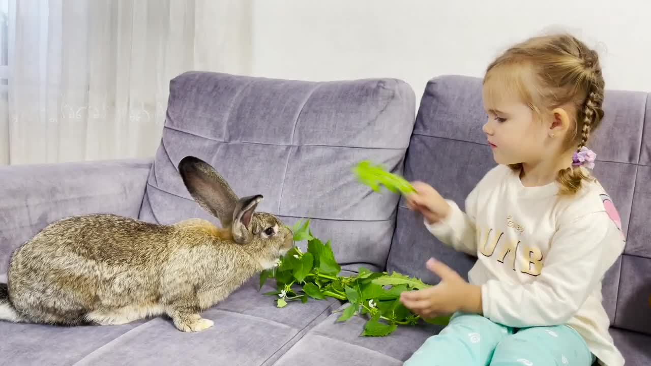 Adorable Baby Girl and Her Hungry Rabbit (Cutest Ever!!)