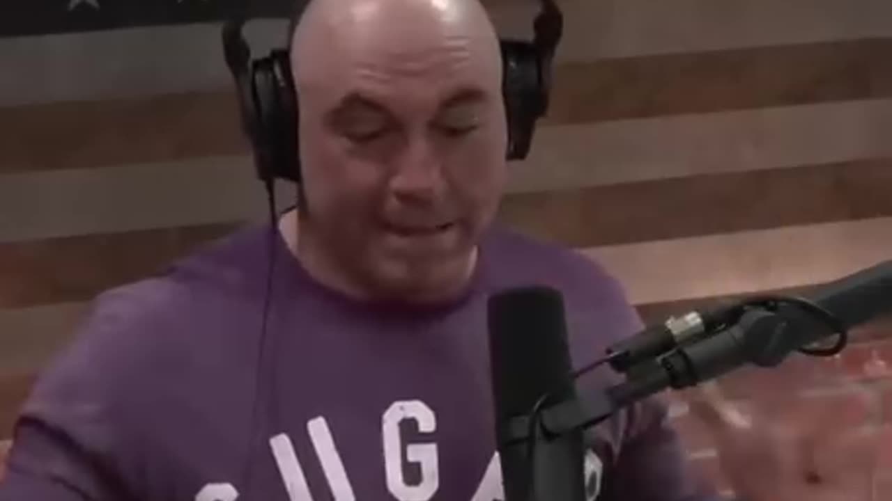 Joe Rogan and Jocko Willink BJJ, Striking, and Street Defense