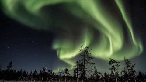 Spectacular Northern Lights LIVE