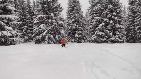 Poland - Tatry (Dolina Olczyska - Polana Kopieniec - Cyrhla)