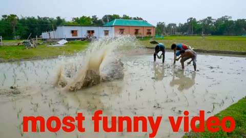 Don't Miss Special Funniest Comedy Video Must Watch Viral Funny Video 2023 Epi 223 By Busy Fun Ltd