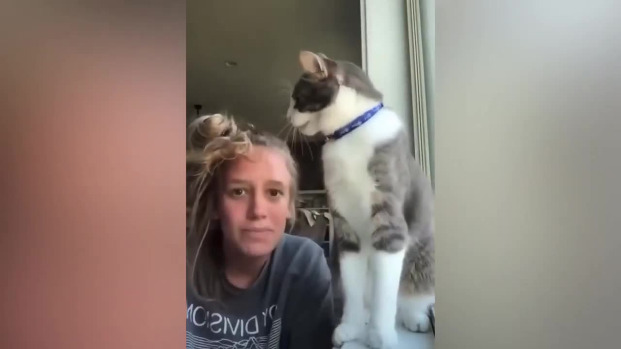 Hilarious New Funny Video Of Cat And Dogs Compilations 😄😄😄