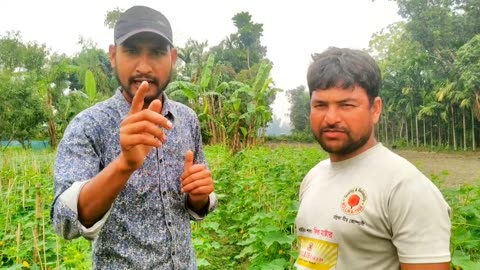 Shosha Agriculture Farming