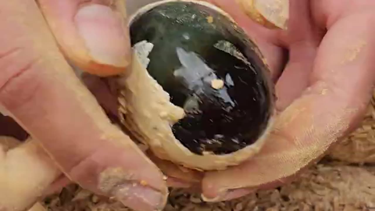 100 years old eggs 😱