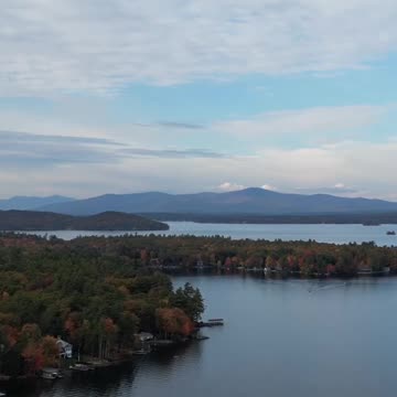 #The Best of Lek: A Top N Guide